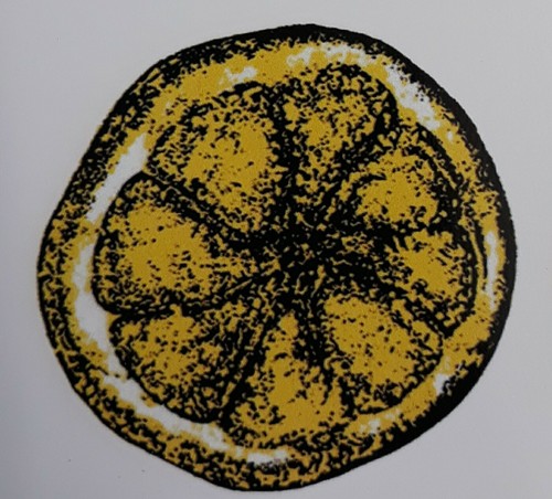 Stone rose lemon sticker - rose's,